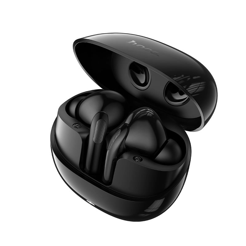 hoco DES55 Cool Wireless Bluetooth Earbuds