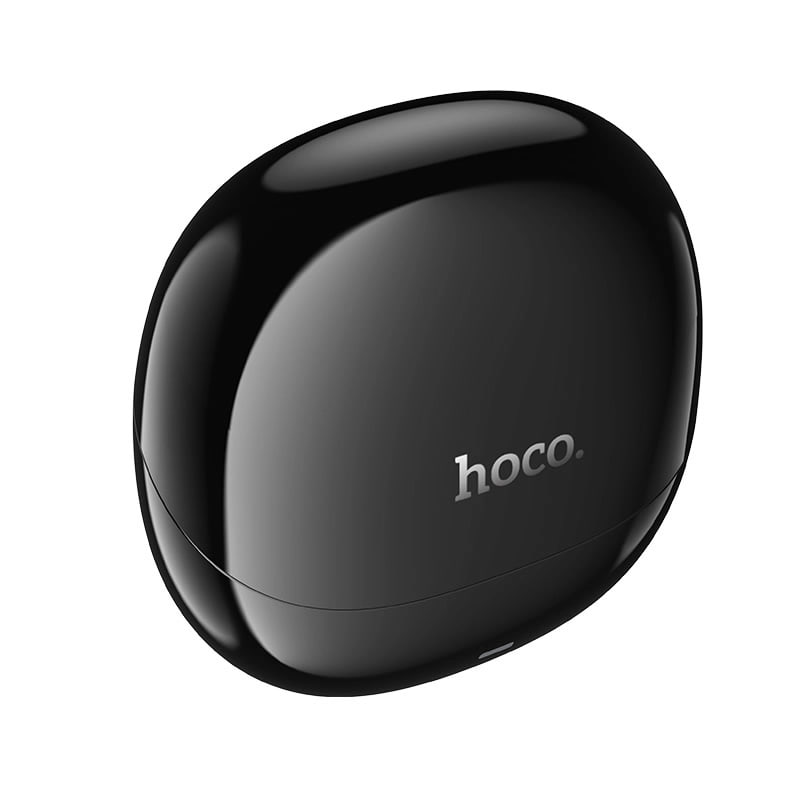 hoco DES55 Cool Wireless Bluetooth Earbuds
