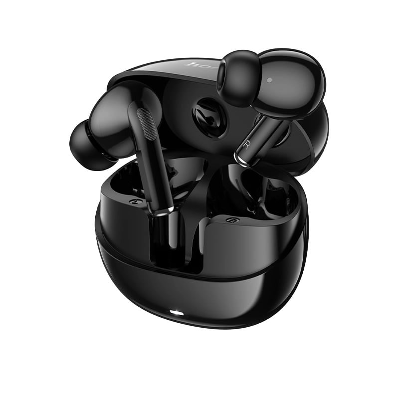 hoco DES55 Cool Wireless Bluetooth Earbuds