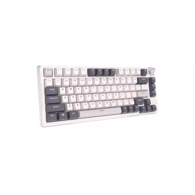 Royal Kludge RK H81 Tri Mode RGB Hot Swap (Blue Switch) White Night Mechanical Gaming Keyboard
