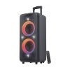 F&D PA300 Bluetooth Trolley & Party with mic Speaker